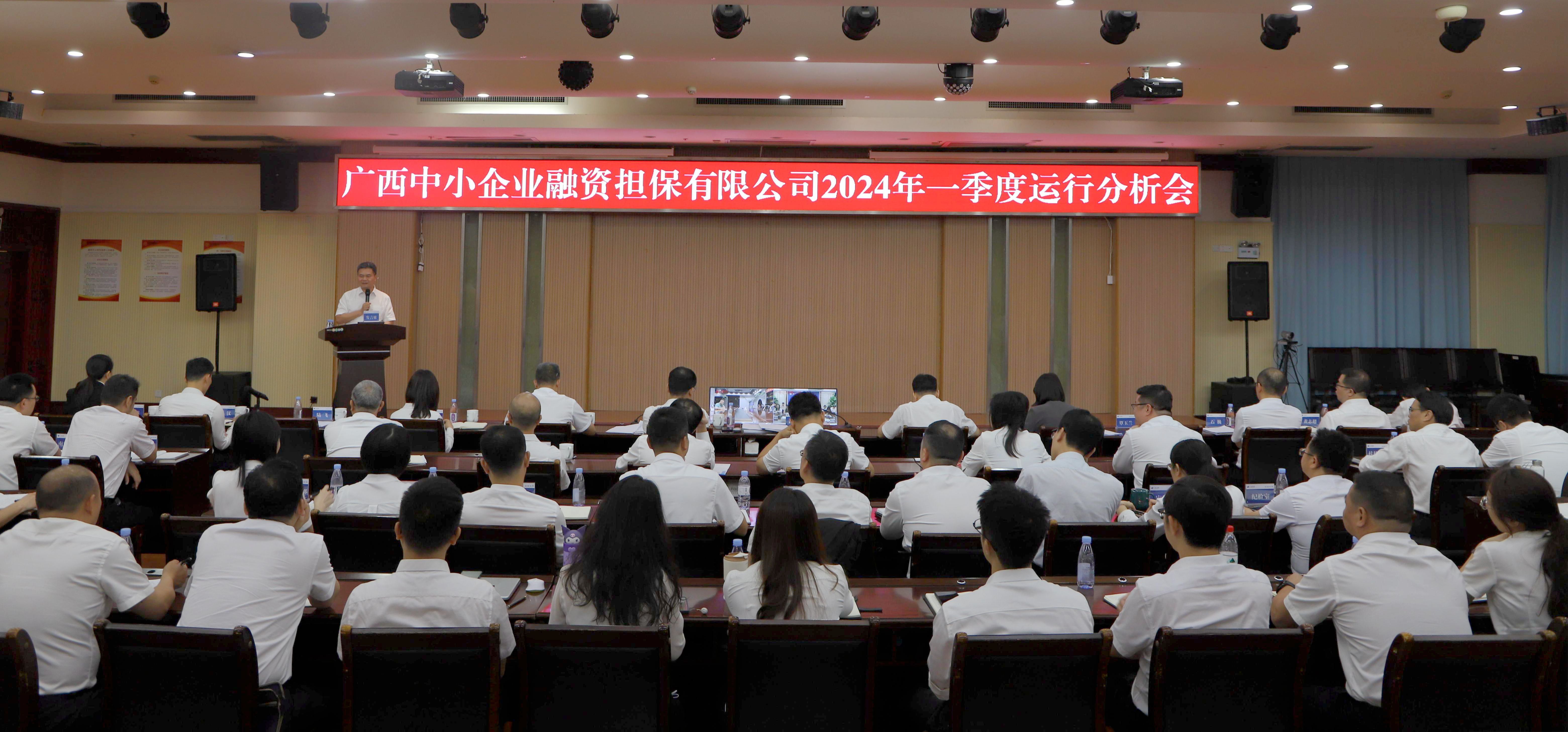 【落實(shí)落細(xì)落地，全力攻堅(jiān)“雙過(guò)半”】中小擔(dān)保召開(kāi)2024年一季度運(yùn)行分析會(huì)